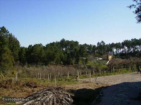 Terreno e casa para reabilitação