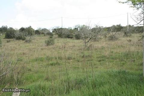 Terreno Rústico em Bensafrim
