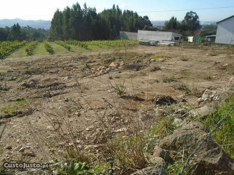 Magnífico Terreno em Folgosa