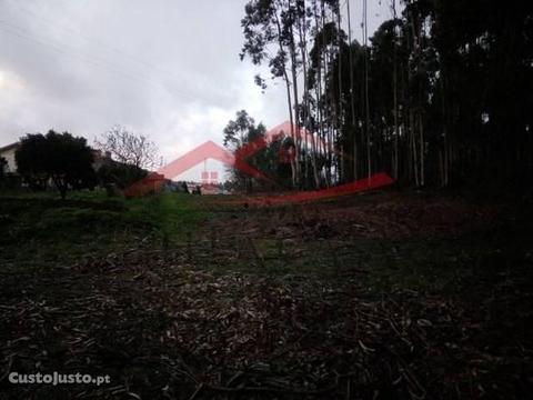 Terreno para construção em Branca (Albergaria)