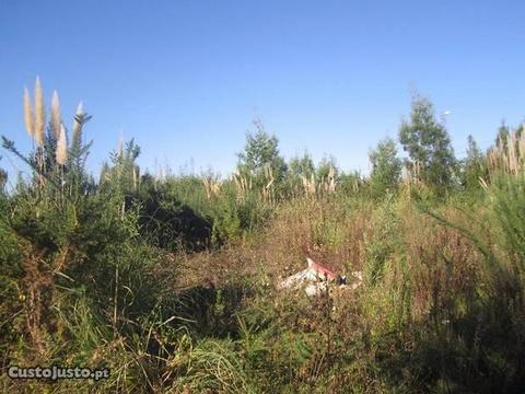 Terreno Urbano para construção S.João da