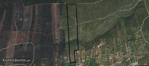 Terreno agrícola com 17,5ha em Alte-Algarve