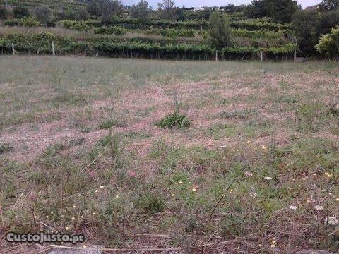 Terreno em Gestaçõ, Baião