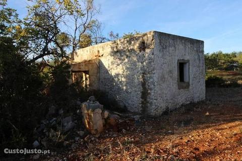 Terreno Agrícola com 15000m2 Santo Estêvão