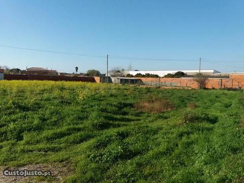 Terreno com 17 metros de frente em Calvão