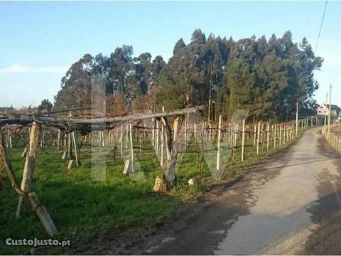 Lote De Terreno Plano Com 3080 M2 Em Esmeriz, F