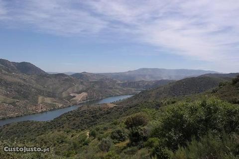 Terreno em vila nova de foz coa freguesia de mós