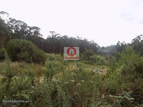 [240-T-17682] Terreno p/ moradia