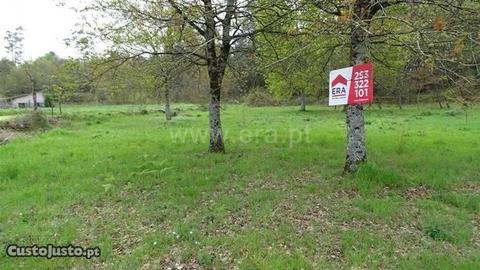 Terreno plano Coucieiro Vila Verde