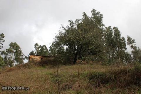 Terreno de 39ha com ruína em Alferce - Monchique
