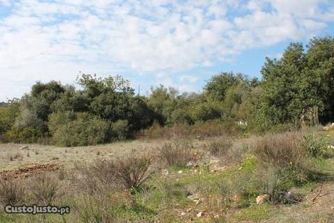 Terreno rústico na Mexilhoeira Grande (Algarve)