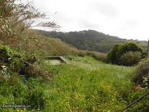 Terreno para construção com vista de mar