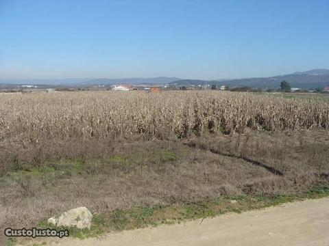 Terreno na veiga de Chaves