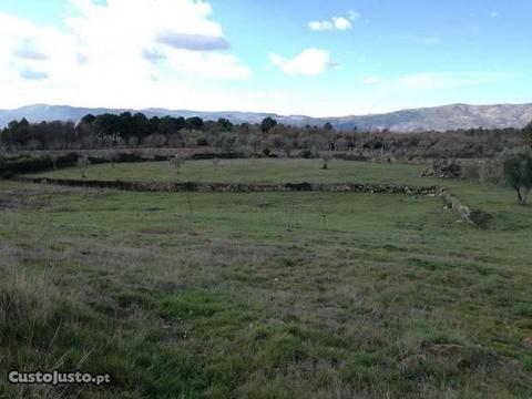 Terreno / Quinta de 27.000 m2 com Casa em Pedra