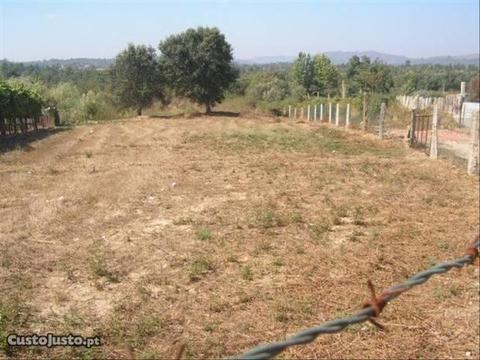 Terreno plano Vila Verde Vila de Prado