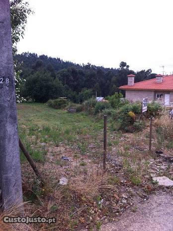 Terreno em olival junto complexo desport