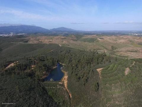 Terreno Urbano com 50000m2 Mexilhoeira Grande