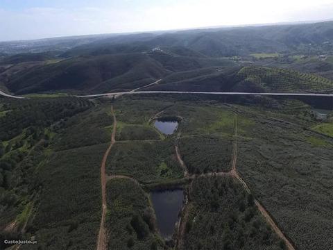 Terreno Urbano com 52700m2 Mexilhoeira Grande