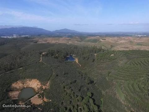 Terreno Urbano com 79000m2 Mexilhoeira Grande