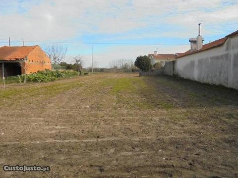 Terreno para construção Mamarrosa