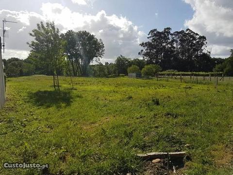 Terreno em Cristelo Côvo - Valença