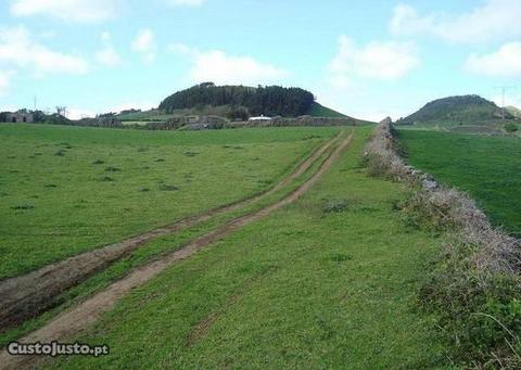 Terreno sita em Ponta Delgada