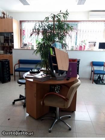 Excelente loja/negócio em galeria comercial