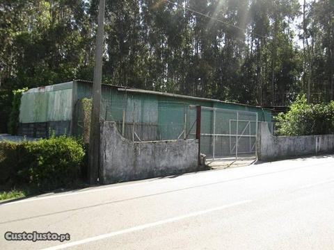 Oficina à face de estrada asfaltada - Maia