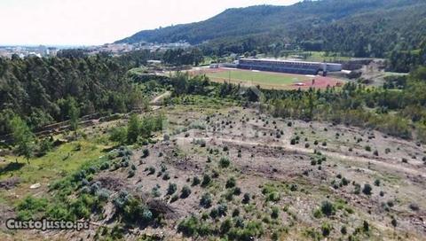 Quinta com 4 hectares p/reconstrução na Meadela