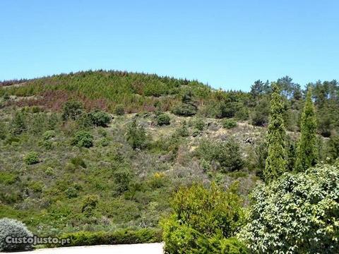 25HA floresta, mini-vinha, Portugal, S.J.Pesqueira