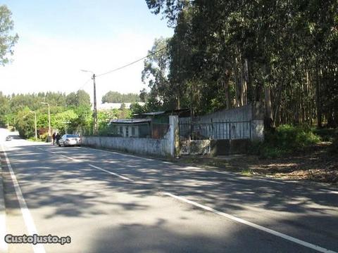 Oficina à face de estrada asfaltada - Maia