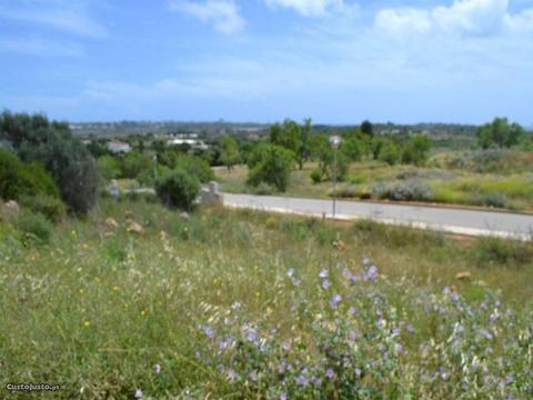 Terreno Urbano com 195m2 Mexilhoeira Grande