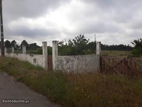 Terreno nas alhadas