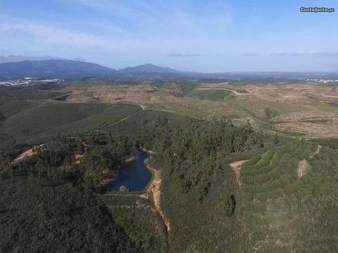 Terreno Urbano com 50000m2 Mexilhoeira Grande