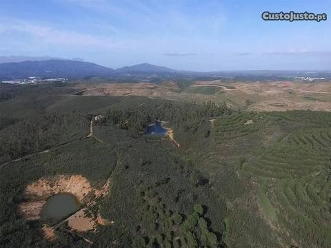 Terreno Urbano com 79000m2 Mexilhoeira Grande