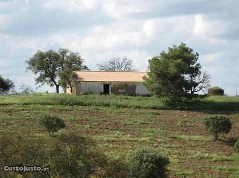 Propriedade Agricola (70Ha)