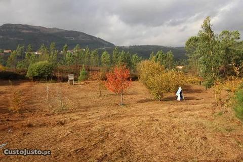 Terreno p/construção moradia Ponte Lima-Arcozelo