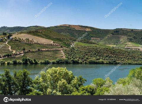 quinta no DOURO