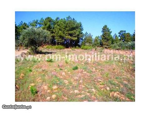 Terreno Agrícola Castelo Branco