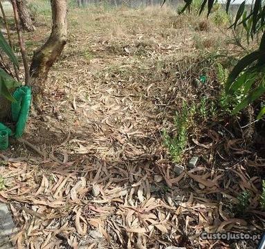 Lote de terreno com projeto, em zona de moradias