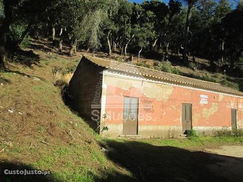 Terreno em Monchique Boavista