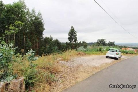 Lote de terreno em São Martinho do Bispo