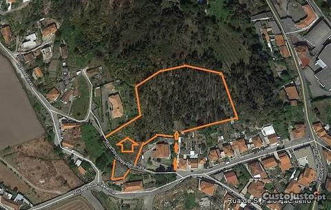 Terreno Rústico, Braga, Guimarães,