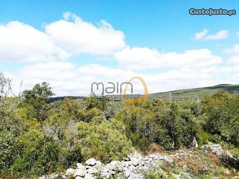 Terreno Agrícola Próximo De Parragil-Loulé