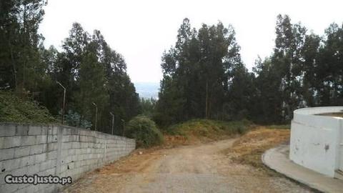 Terreno Rústico com 4800m2 São Mamede Recezinhos