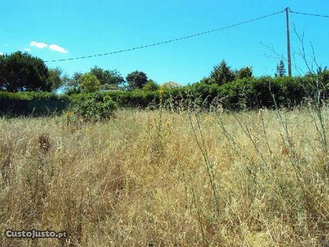 Terreno em zona habitacional Monte Canelas