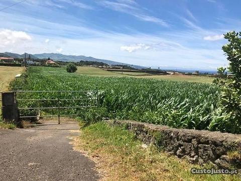 Terreno 11.900 m2 com entrada larga e independente