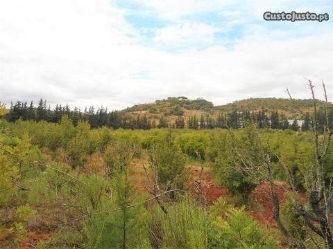 Terreno Agrícola com 23900m2 Vidigal Novo, Mex