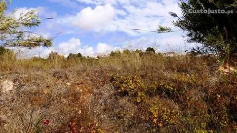 Terreno Rústico com 3600m2 Pêra Alcantarilha