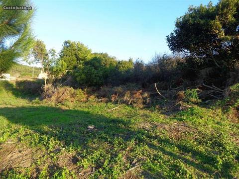 Terreno p/ construção em V. do Castelo (251180002)